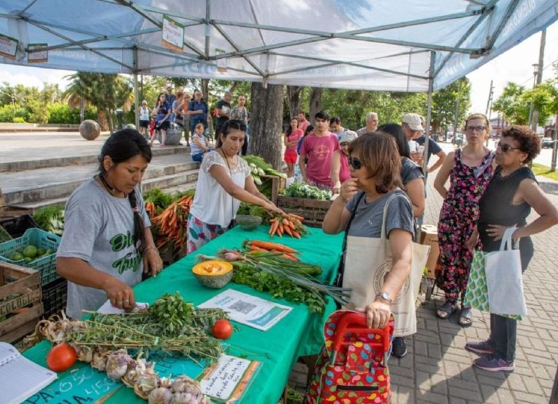 Los vecinos de la localidad podrán adquirir frutas y verduras sin intervención de productos químicos a precios accesibles.