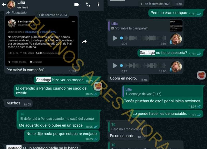 El pedido de operación pedido por la "peluquera" y mano derecha de Javier Milei, Lilia Lemoine. (Foto: Buenos Aires Ahora)