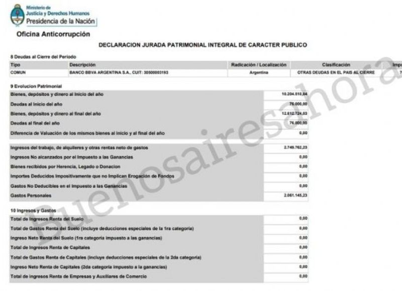 La Declaración Jurada de la subsecretaria.