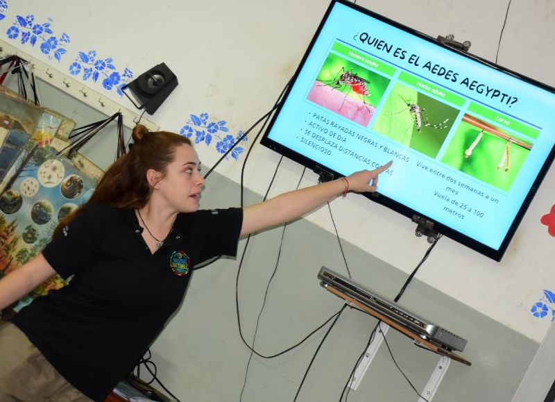 Se trata de una iniciativa que llevan a cabo en conjunto las áreas de Educación y Medio Ambiente.