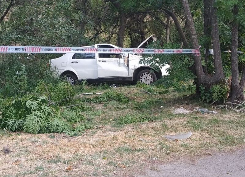 Despiste en la Avenida del Petróleo.