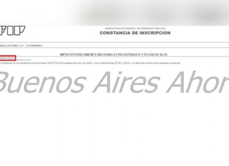 Los juicios que le realizó la AFIP por evasión impositiva. (Foto: Buenos Aires Ahora)