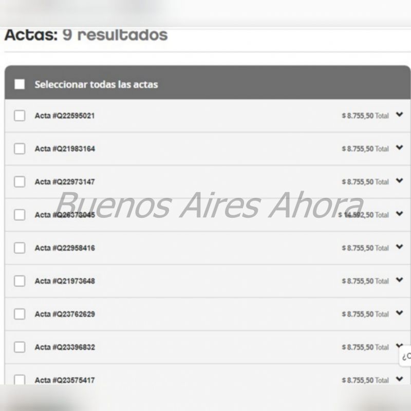 La flota de automotores y la fotomulta sobre uno de los autos de Correa. (Foto: Buenos Aires Ahora)