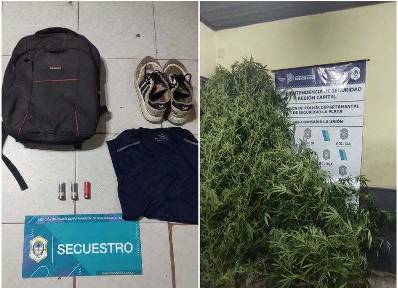 En el lugar, se incautó la ropa usada en el día del asalto, cartuchos de escopeta y tres plantas de marihuana.