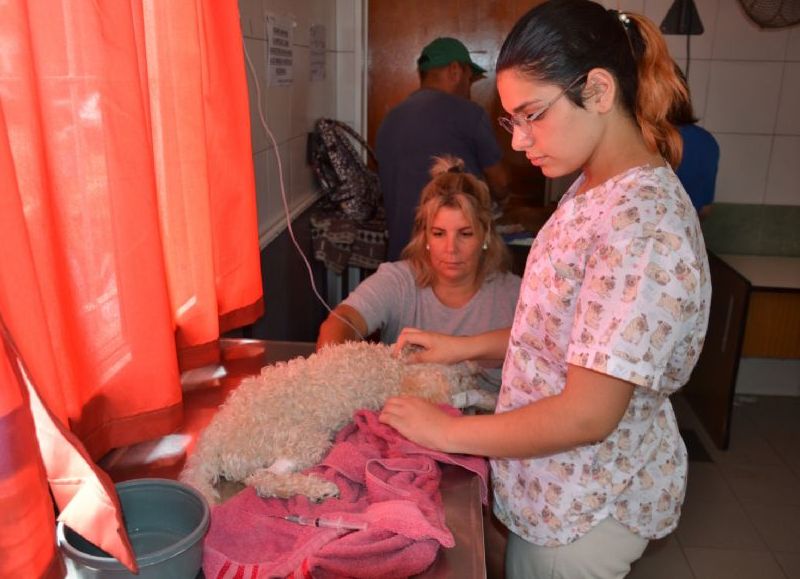 Los servicios de ecografía, electrocardiograma, análisis de sangre, radiología, traumatología y oncología son servicios tercerizados.