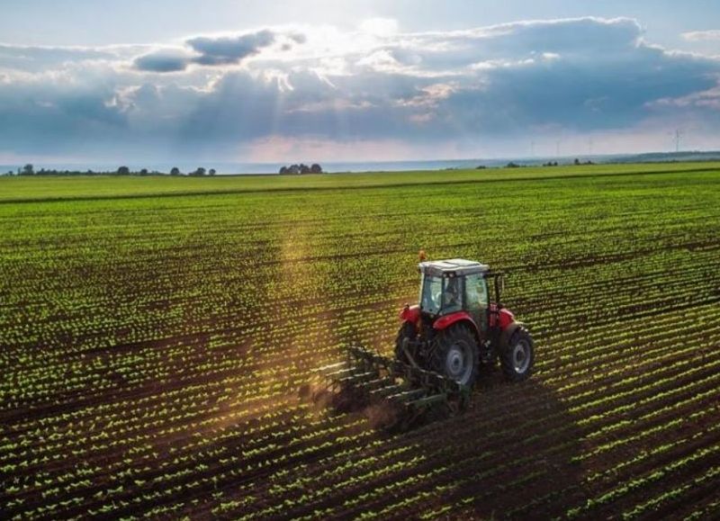 Mientras crecen los costos, Diputados analizará un proyecto que ofrece alivio fiscal al complejo agroindustrial