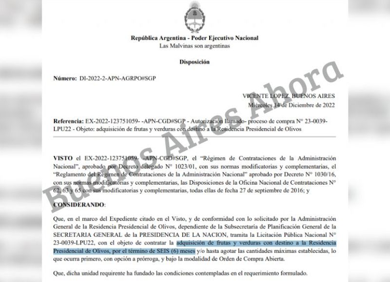 El pliego licitatorio de la compra millonaria del Gobierno.