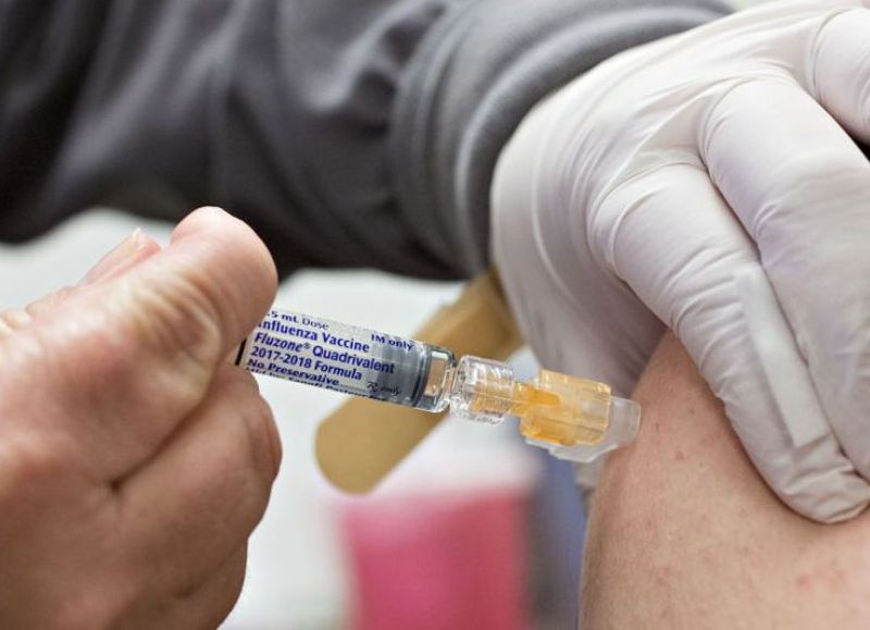 La Municipalidad de José C. Paz, Mario Ishii, informó que se avecina la vacunación contra la fiebre amarilla.