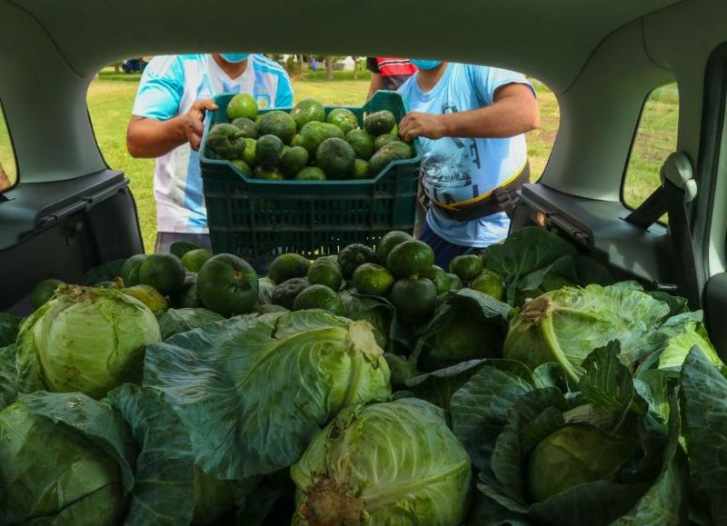 La huerta de la Unidad 12 también se utiliza para autoconsumo.